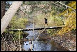 Runner crossing a wooden traverse along the course.